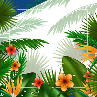 棕榈叶热带植物树叶素材